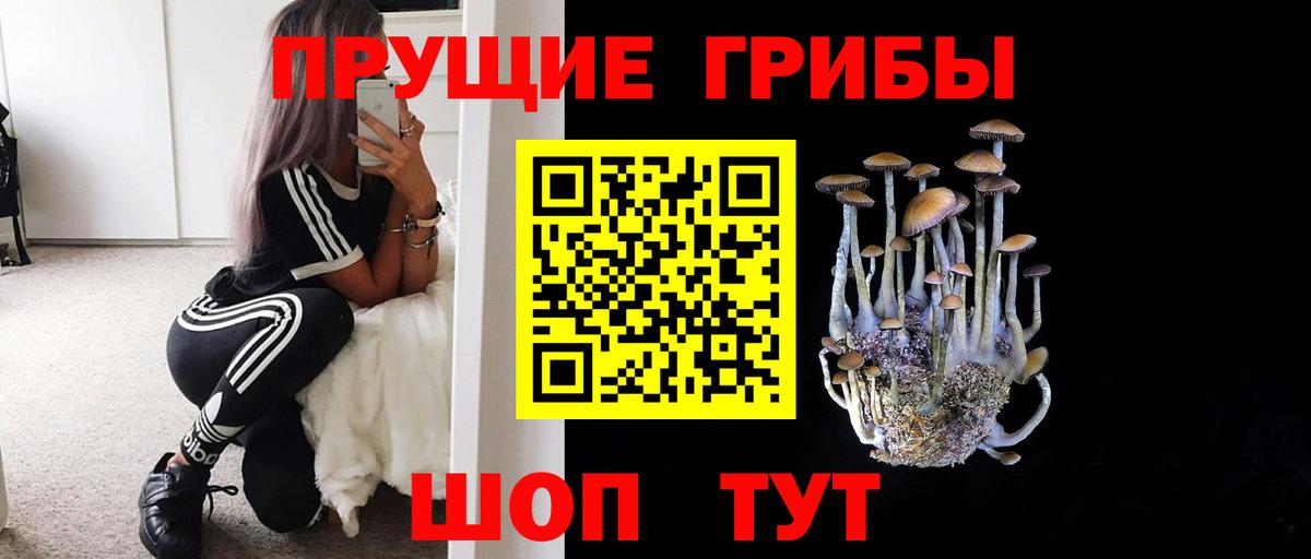 Рубцовск  Псилоцибиновые грибы мицелий  Галлюциногенные грибы прущие грибы  Вход с VPN 